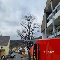 bild_4.jpg