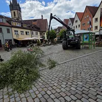 Bild_5.JPG