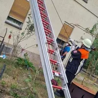 bild_1.jpg