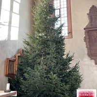 bild_4.jpg