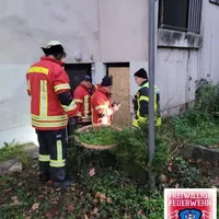 bild_14.jpg