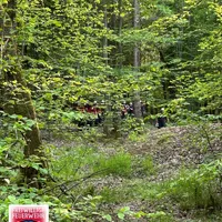 Bild_1.JPG