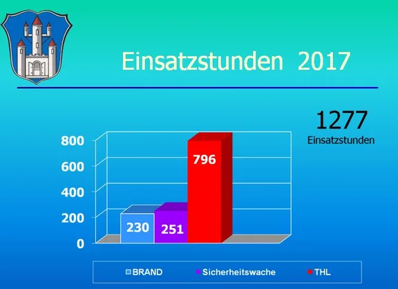 Einsatzstunden_2017.JPG