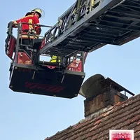 Bild_3.JPG