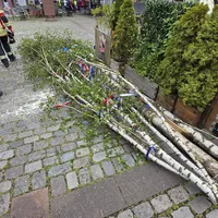 Bild_7.JPG