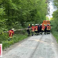 Bild_4.JPG