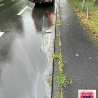 bild_5.jpg