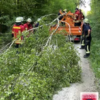 Bild_6.JPG