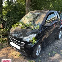 Bild_3.JPG