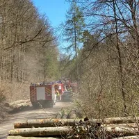 bild_11.jpg