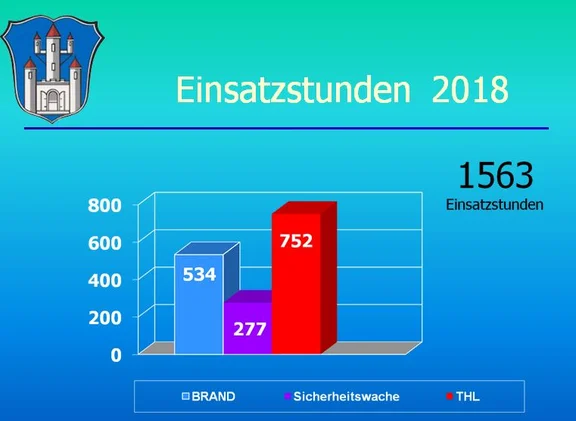 Einsatzstunden_2018.JPG