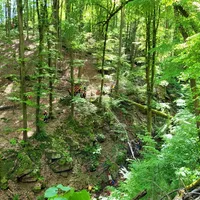 Bild_3.JPG