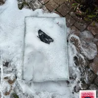 Bild_4.JPG