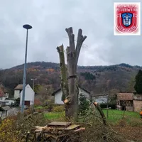 bild_7.jpg