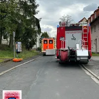 bild_1.jpg