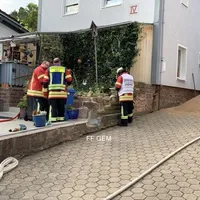 bild_2.jpg