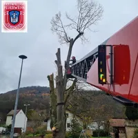 bild_4.jpg