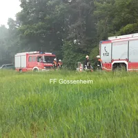 bild3.jpg