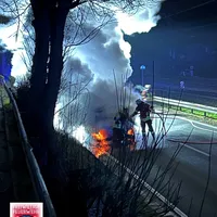 Bild_3.JPG
