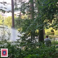 bild_2.jpg