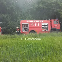 bild1.jpg