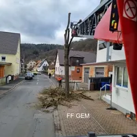 bild_2.jpg