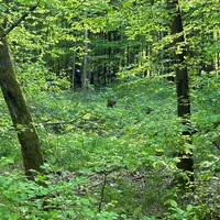 Bild_1.JPG