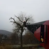 bild3.jpg
