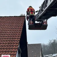 Bild_3.JPG
