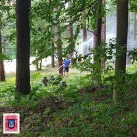 bild_1.jpg