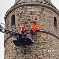 bild_1.jpg