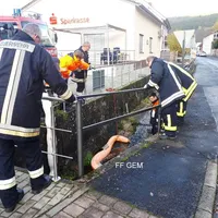bild_01.jpg