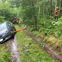 bild_8.jpg