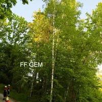 bild1.jpg