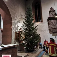 Bild_3.JPG