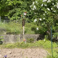 bild_2.jpg