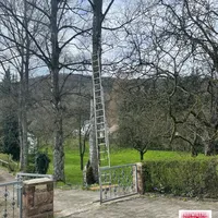 Bild_1.JPG