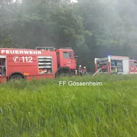 bild4.jpg
