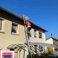 bild_2.jpg