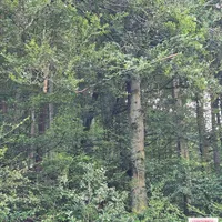 Bild_2.JPG