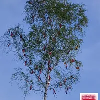 bild_24.jpg