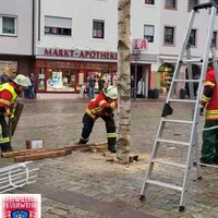 bild_29.jpeg