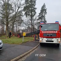 bild_2.jpg