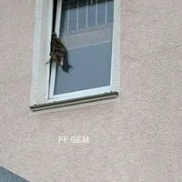 bild_1.jpg