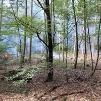 Bild_2.JPG