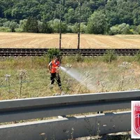 bild_1.jpg
