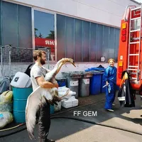 bild5.jpg
