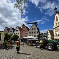 Bild_3.JPG