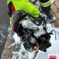 Bild_3.JPG