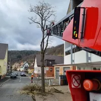 bild_1.jpg